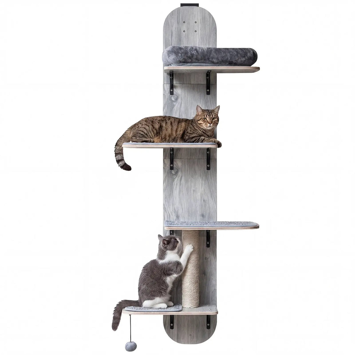 Door Hanging Cat Climber 4-level Height Adjustable with Plush Bed by DirectDeals