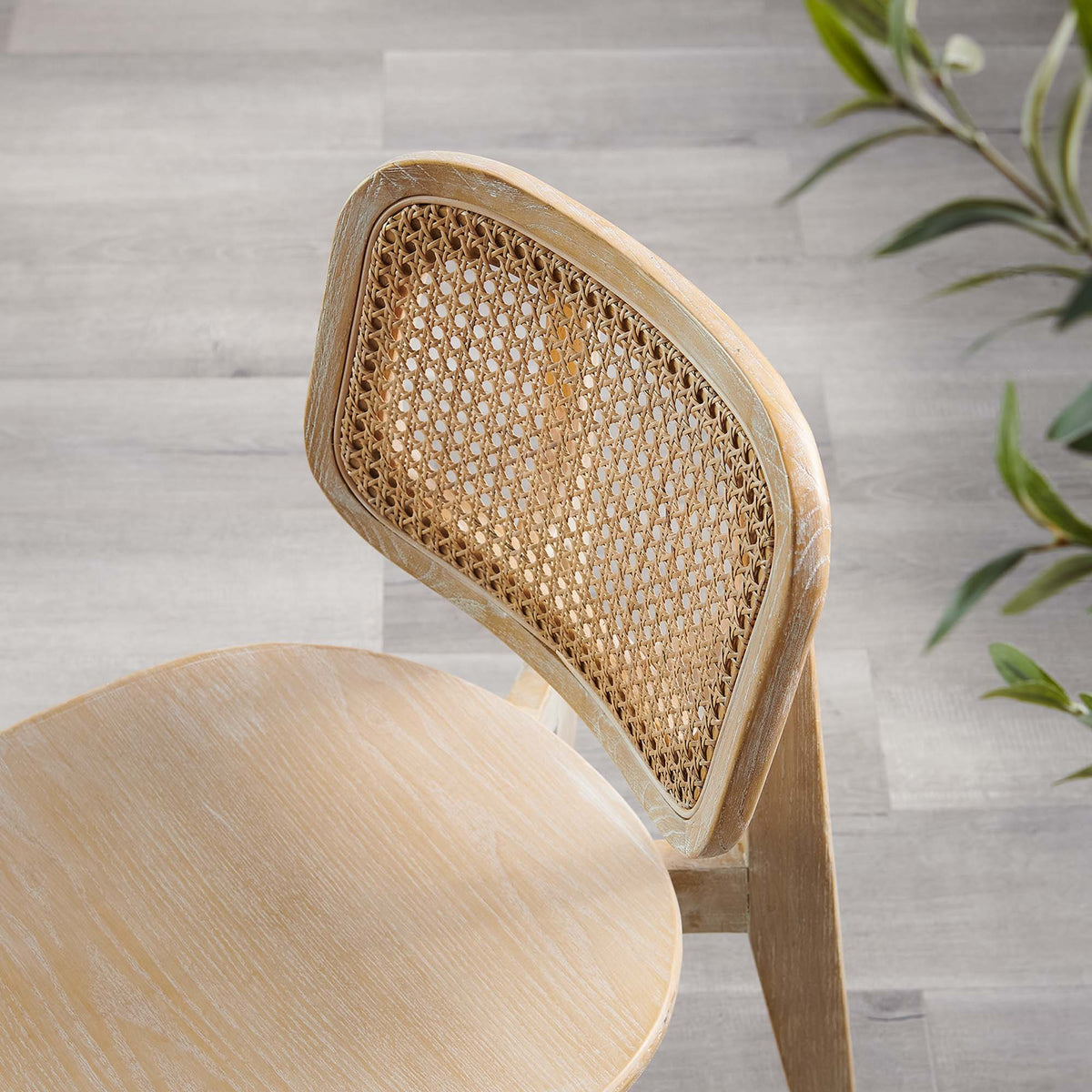 Habitat Wood Dining Side Chair Set of 2 by Modway, photo 20 of 20