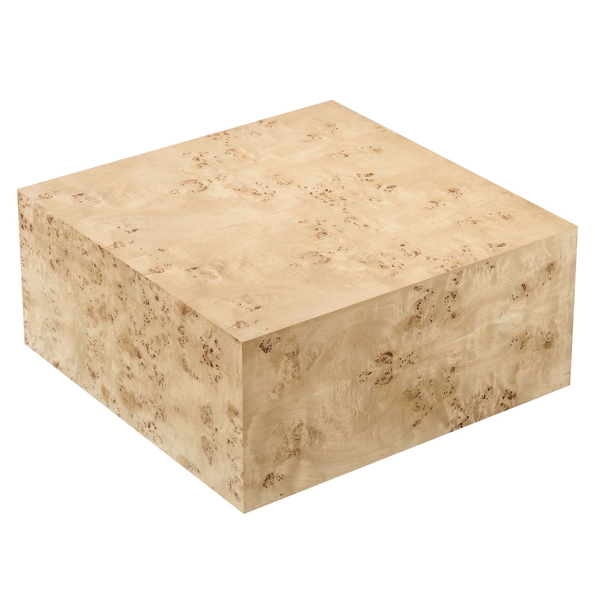 Cosmos 36" Square Burl Wood Coffee Table by Modway, photo 14 of 18