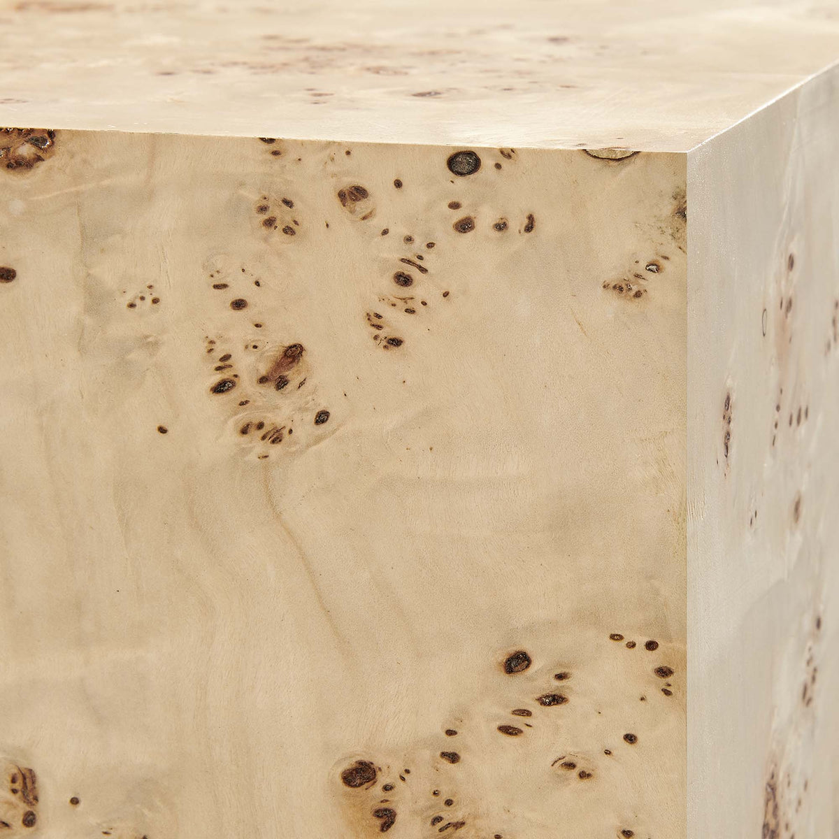 Cosmos 36" Square Burl Wood Coffee Table by Modway, photo 16 of 18