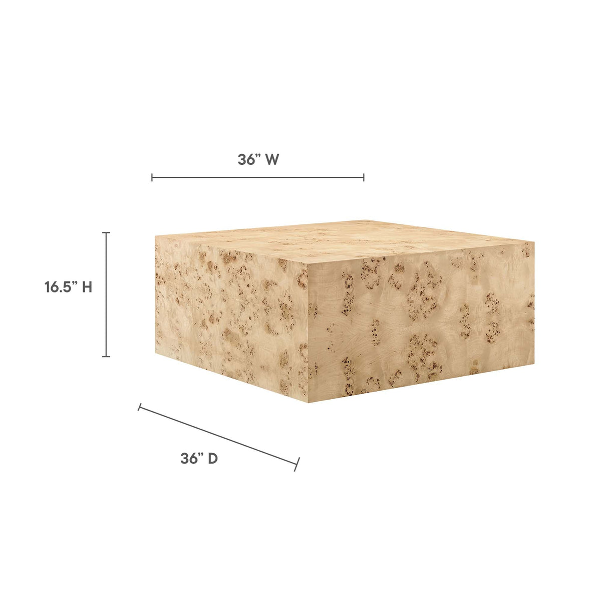 Cosmos 36" Square Burl Wood Coffee Table by Modway, photo 11 of 18