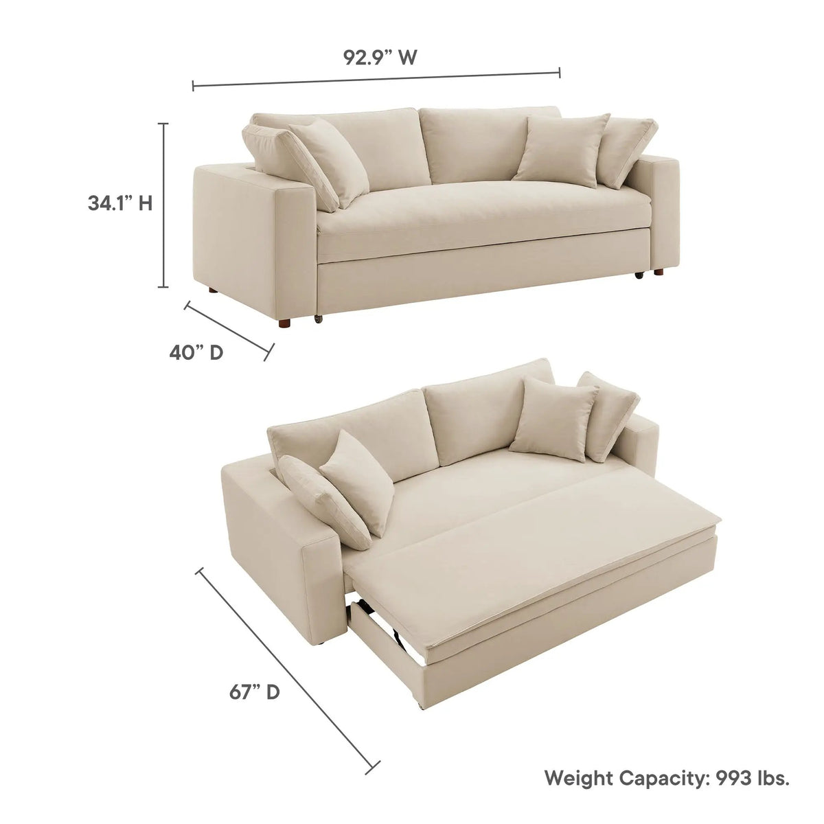 Commix Down Filled Overstuffed Sleeper Sofa by Modway by HouseOfZazla