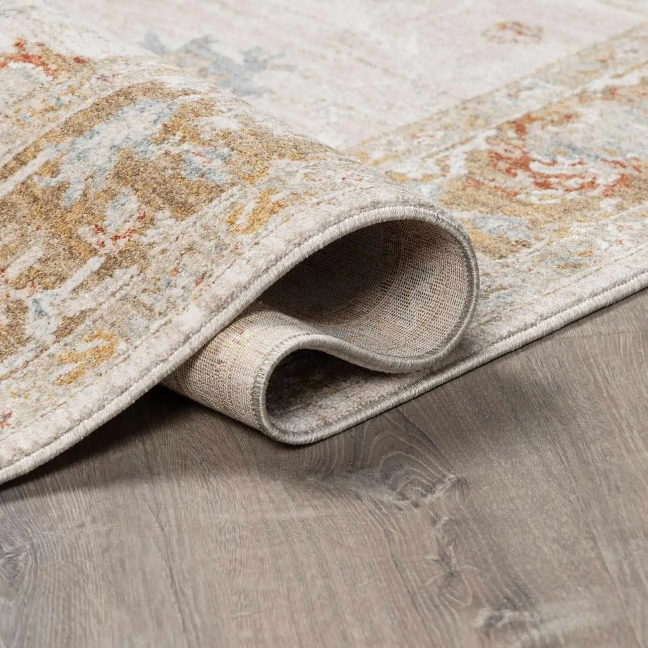 Elloree Traditional Thick Luxe Statement Rug - Clearance by Boutique Rugs