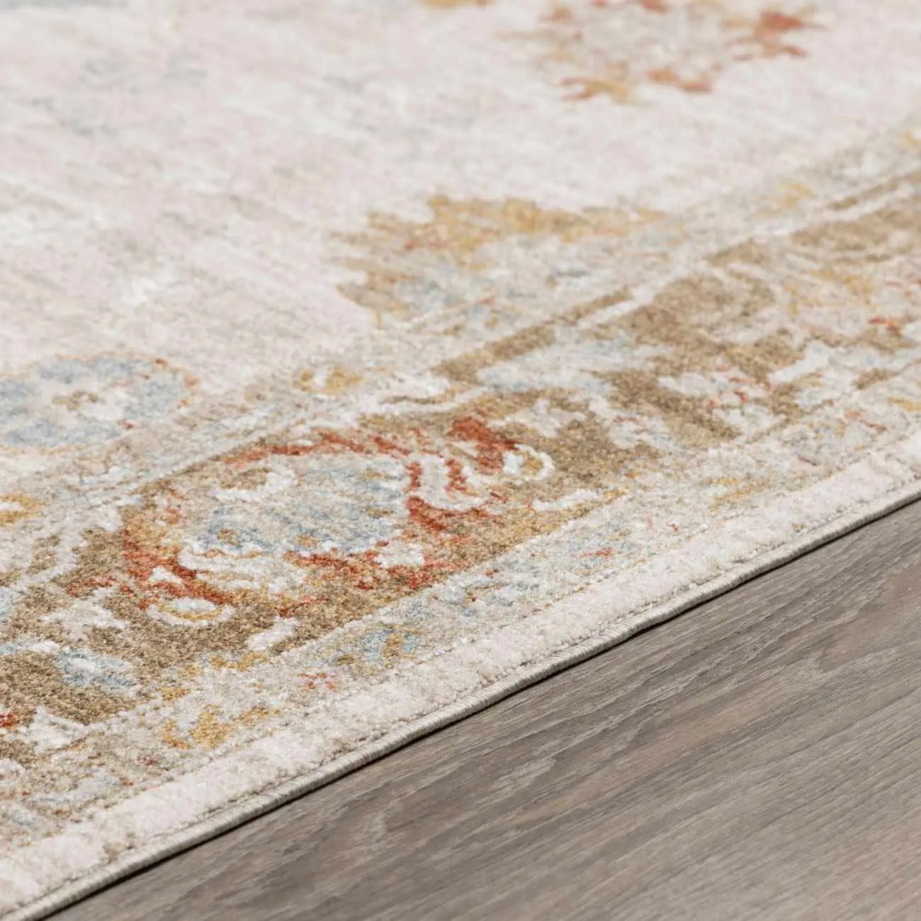 Elloree Traditional Thick Luxe Statement Rug - Clearance by Boutique Rugs