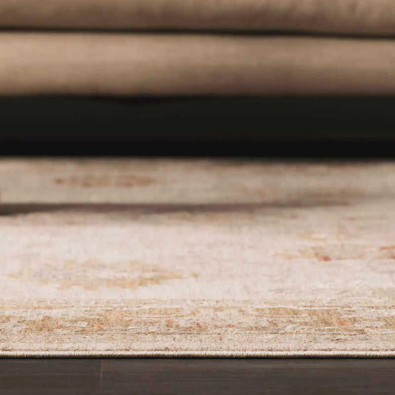 Elloree Traditional Thick Luxe Statement Rug - Clearance by Boutique Rugs