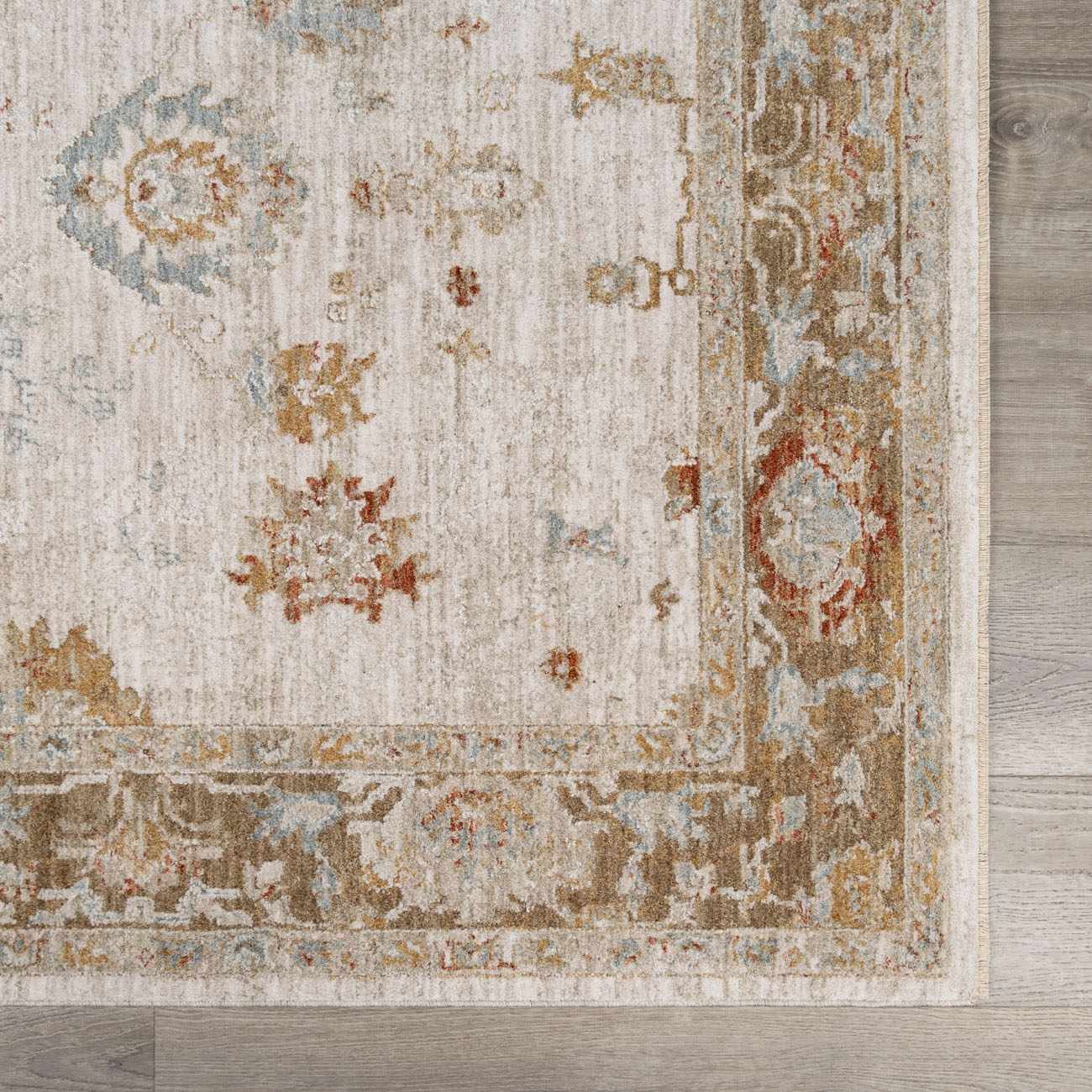 Elloree Traditional Thick Luxe Statement Rug - Clearance by Boutique Rugs