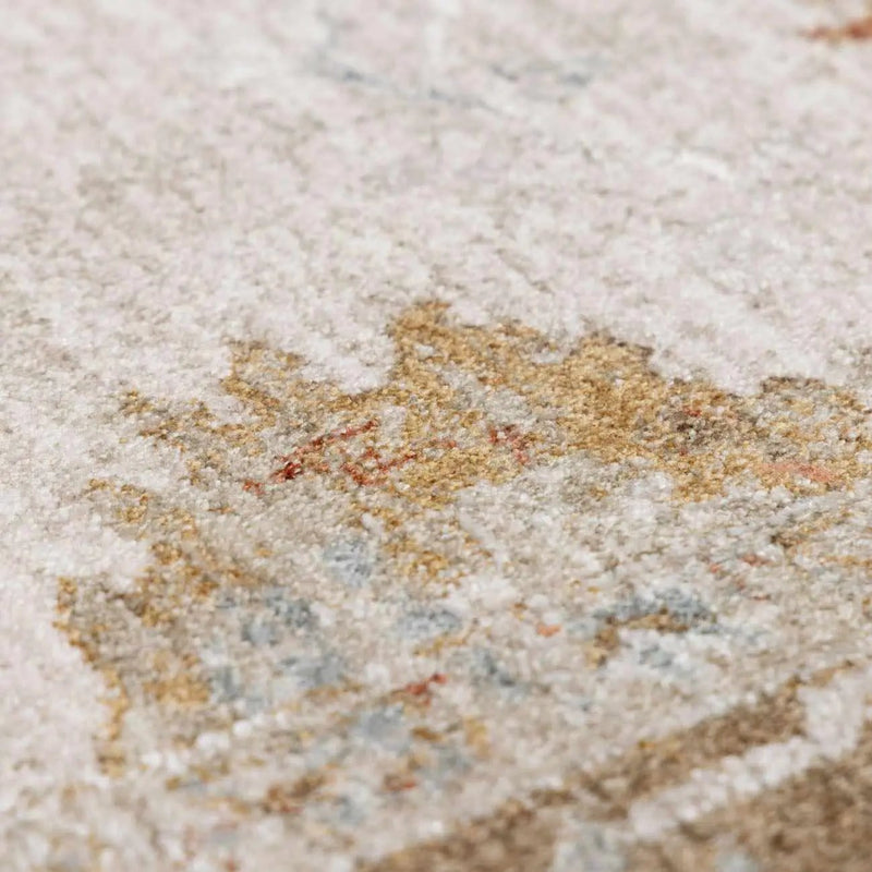 Elloree Traditional Thick Luxe Statement Rug - Clearance by Boutique Rugs