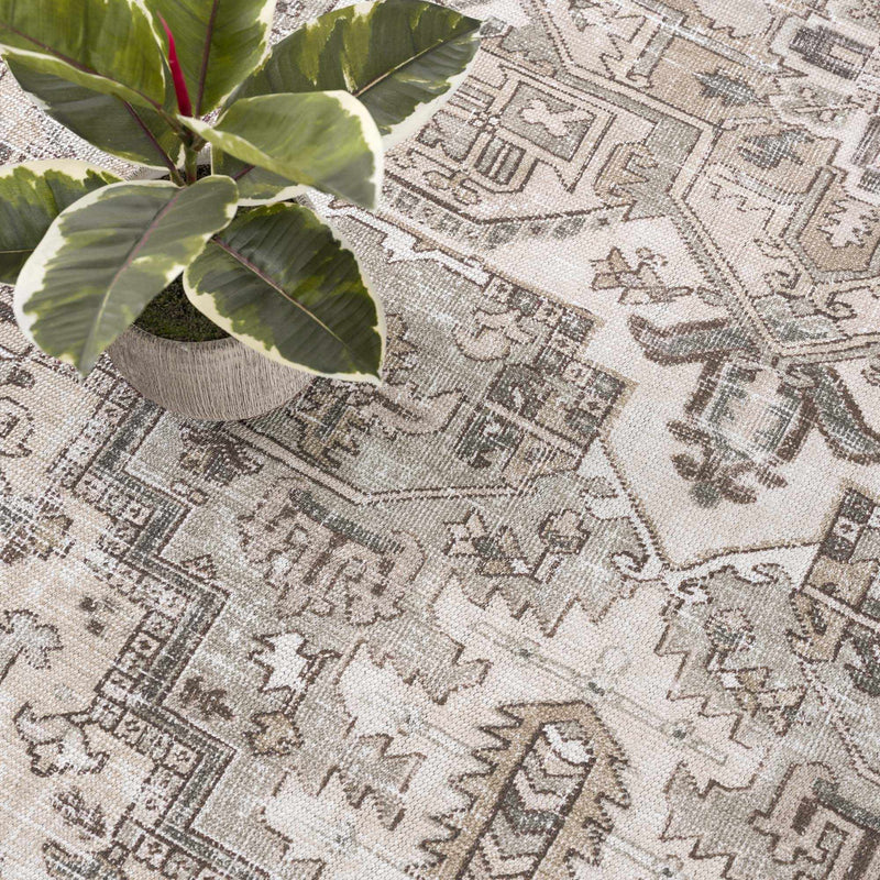 Nadia Area Rug - Clearance by Boutique Rugs