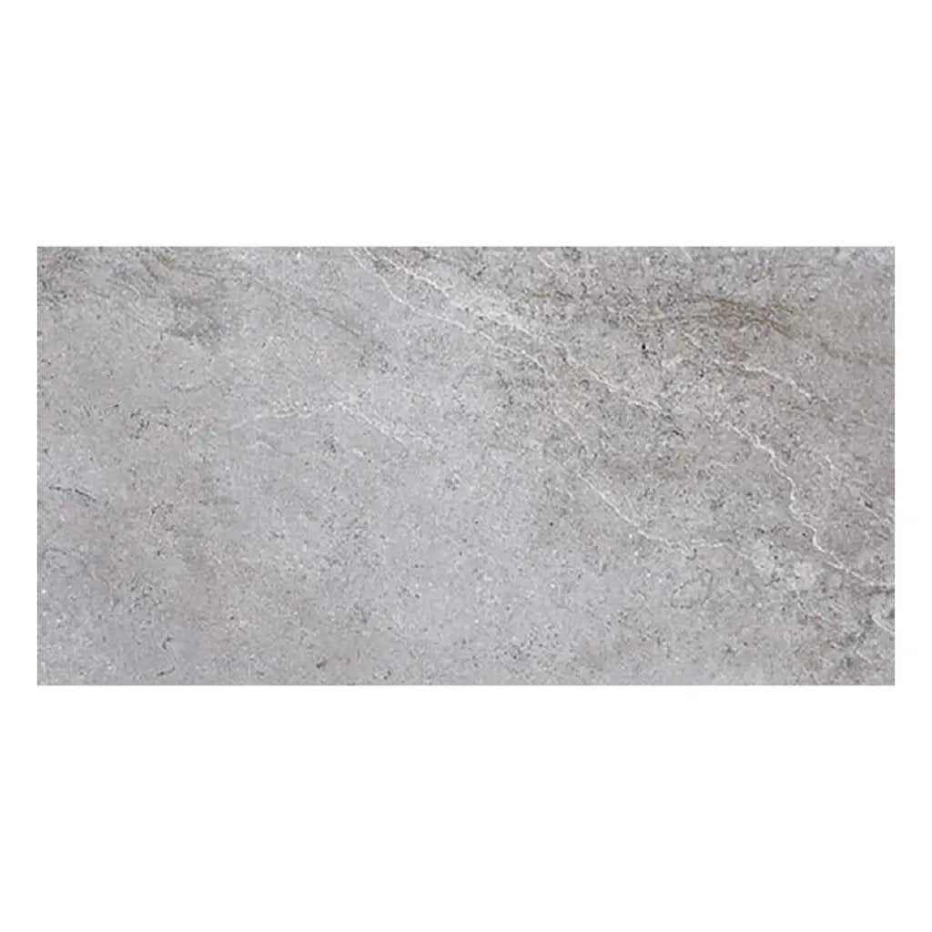 Coin Gray 12x24 Matte Field Porcelain Tile (5 pack, 10.763 sq ft/case) by Apollo Tile