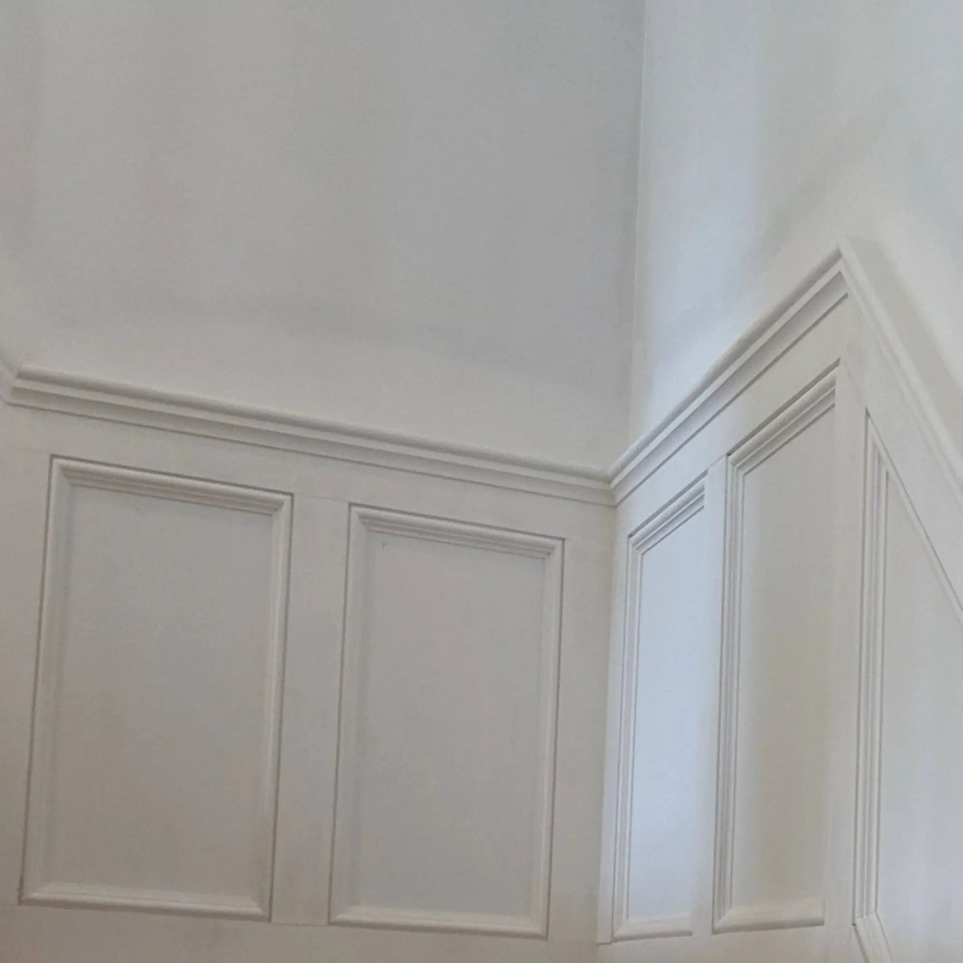 EWPM23 Nose and Cove Panel Molding 1-1/4" wide x 3/4" Trim. Unfinished by NewMouldings