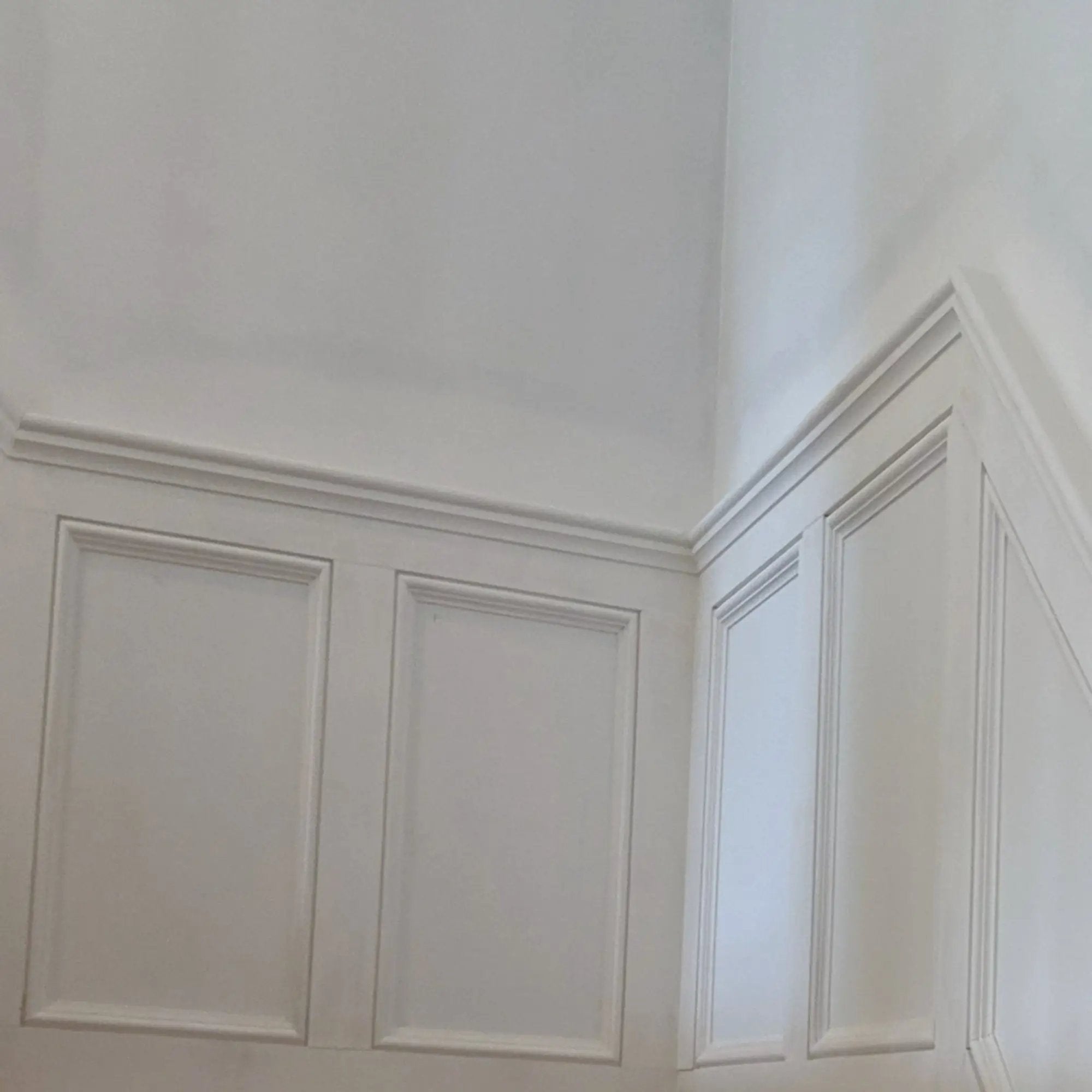 EWPM23 Nose and Cove Panel Molding 1-1/4" wide x 3/4" Trim. Unfinished by NewMouldings