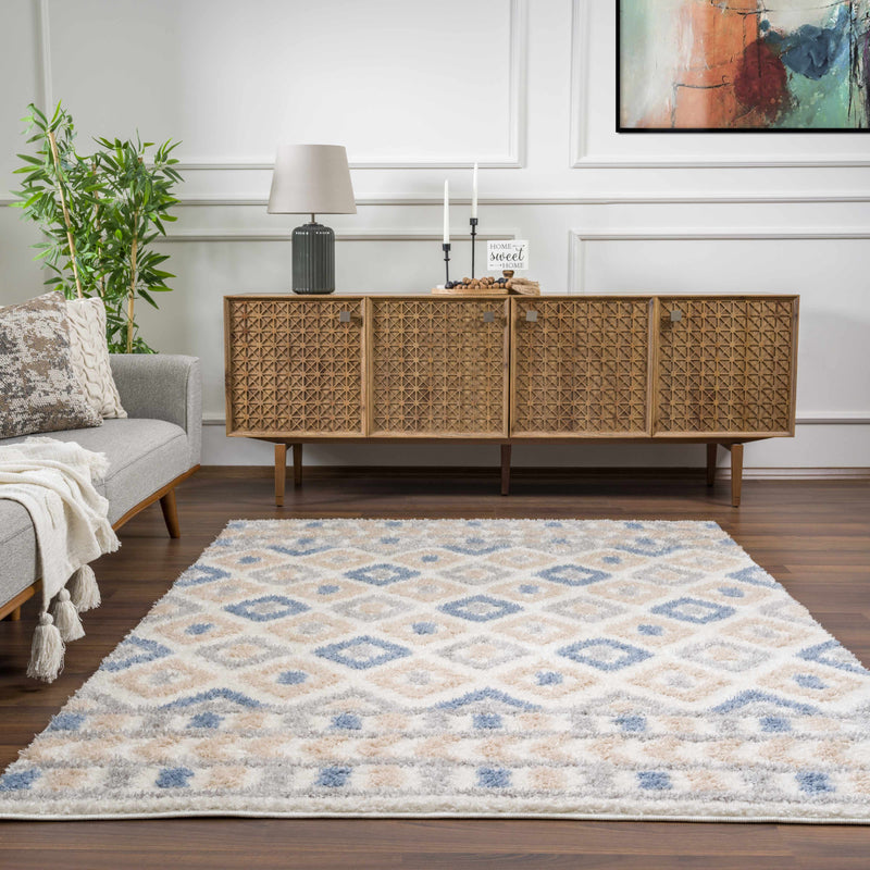 Eivin Pink & Blue Area Rug - Clearance by Boutique Rugs