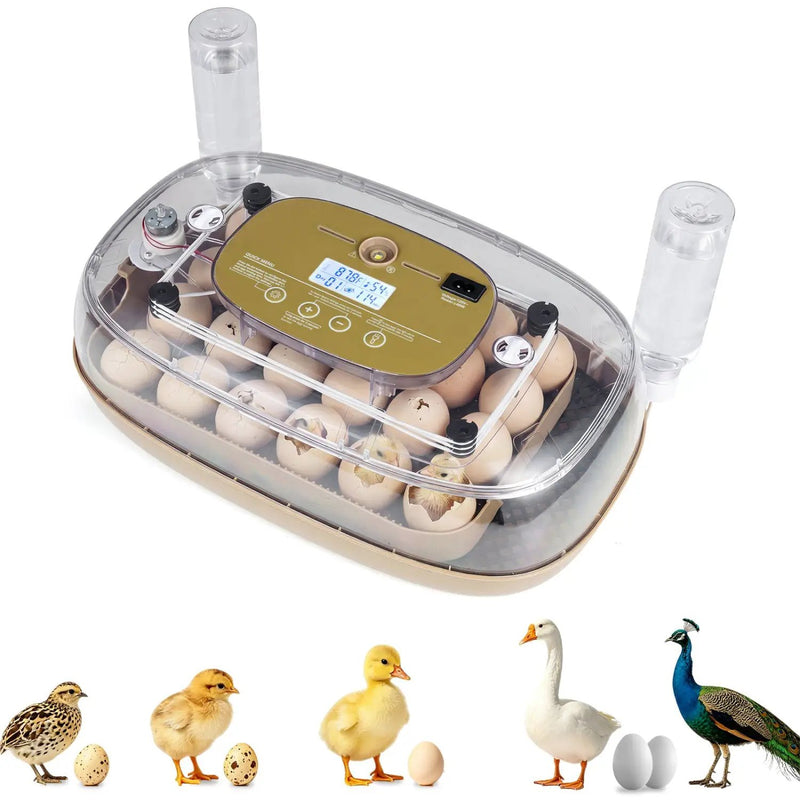 21-Egg Incubator with Temperature and Humidity Control by DirectDeals
