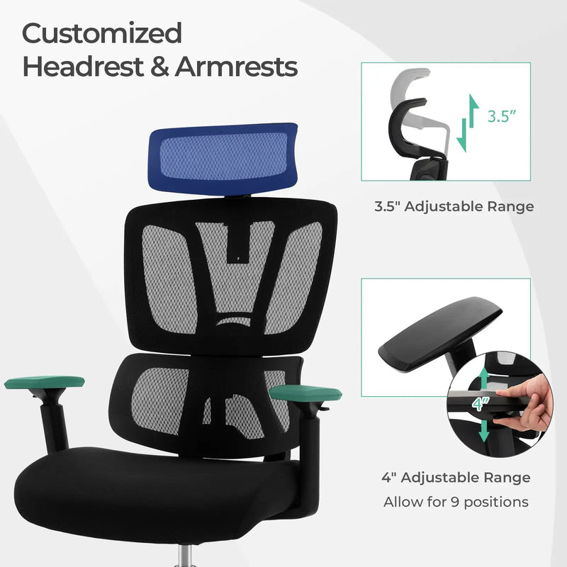 Ergonomic Office Chair with N Type Lumbar Support and Adjustable Headrest-Black by DirectDeals