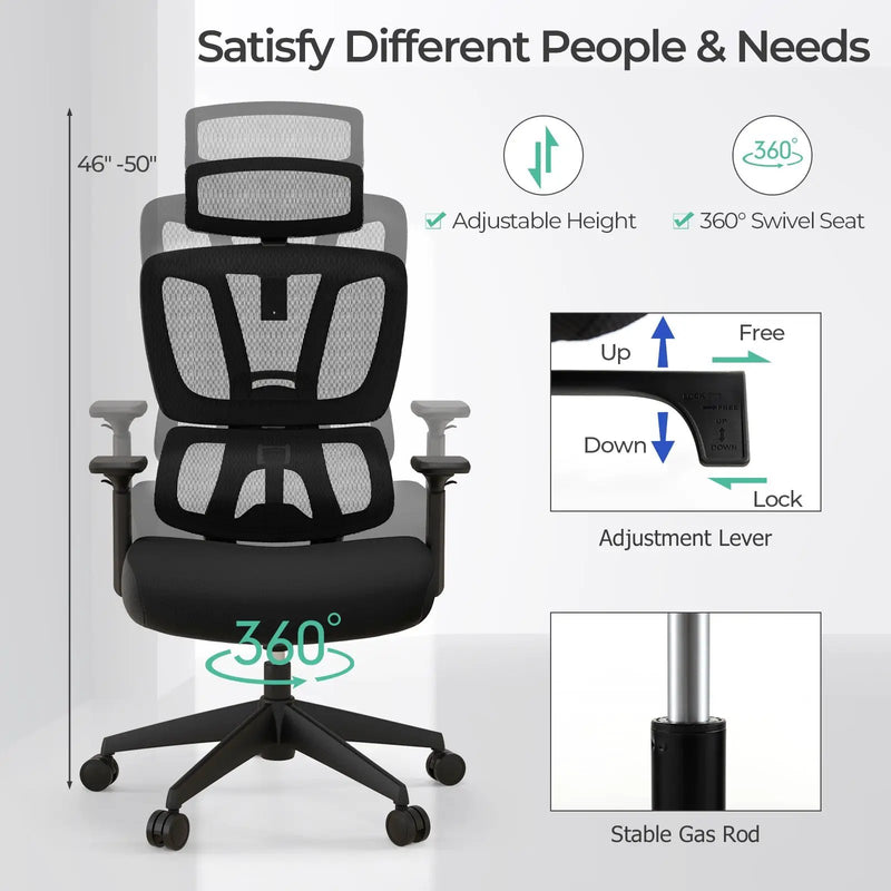 Ergonomic Office Chair with N Type Lumbar Support and Adjustable Headrest-Black by DirectDeals