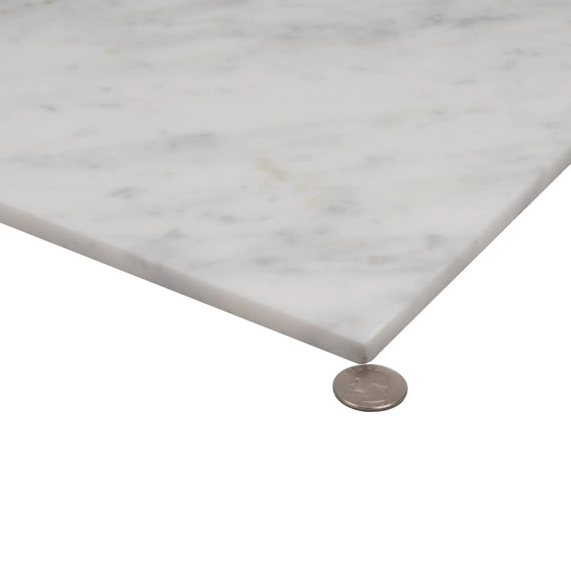 White 12x12 Honed Field Bianco Carrara Marble Tile (10 pack, 10 sq ft/case) by Apollo Tile
