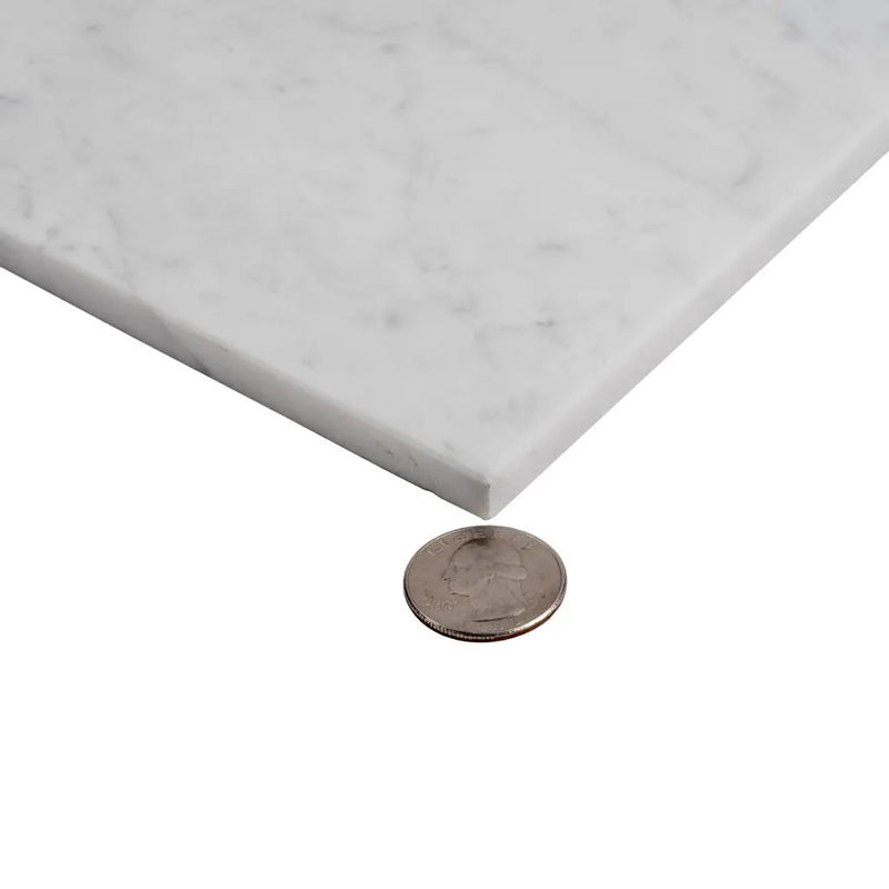 White 12x24 Polished Field Bianco Carrara Marble Tile (5 pack, 10 sq ft/case) by Apollo Tile