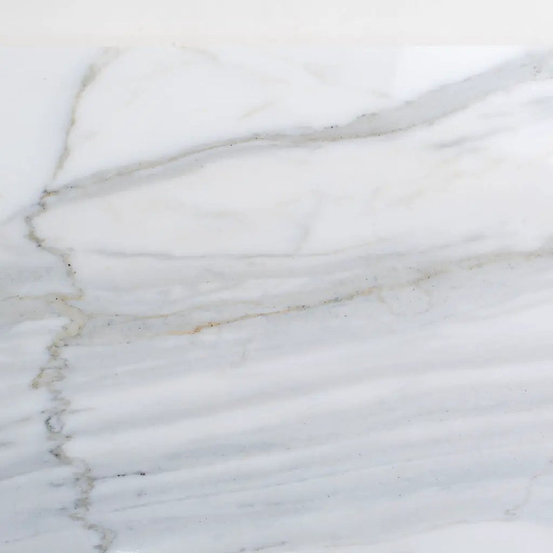 White Gray 12x24 Honed Field Calacatta Gold Marble Tile (5 pack, 10 sq ft/case) by Apollo Tile
