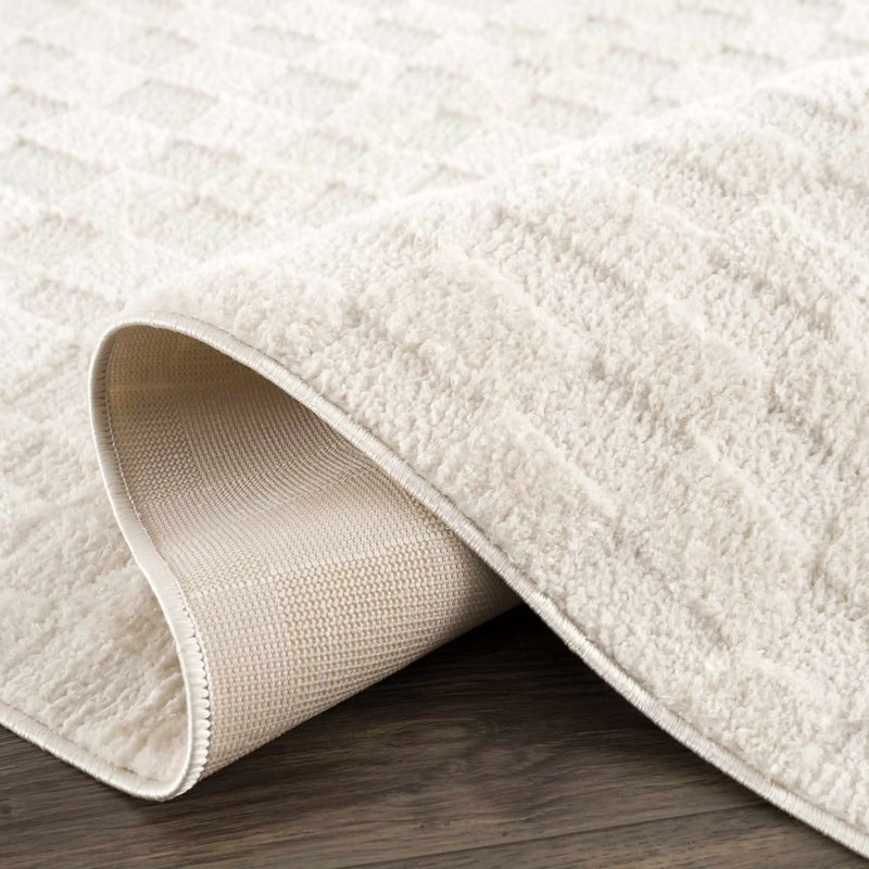Keesa Checkered Area Rug by Boutique Rugs