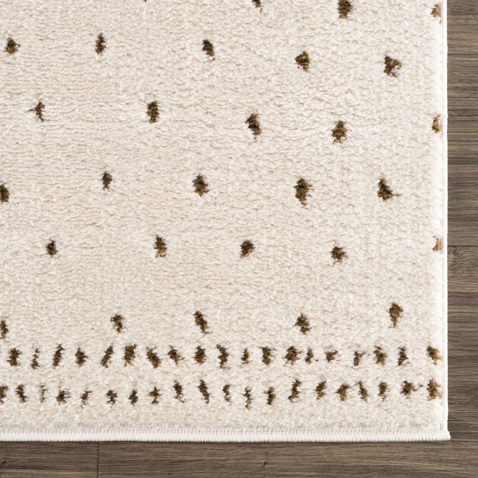 Julie Ivory & Brown Area Rug by Boutique Rugs