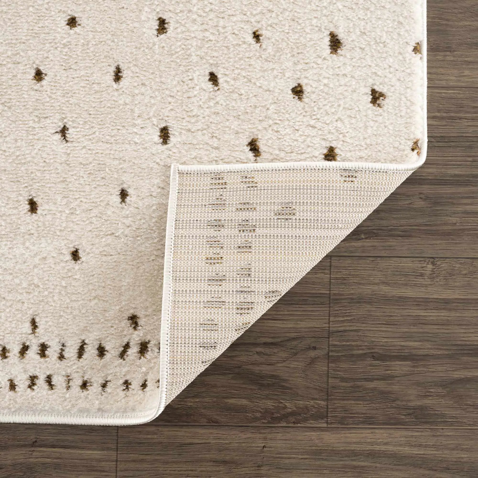 Julie Ivory & Brown Area Rug by Boutique Rugs