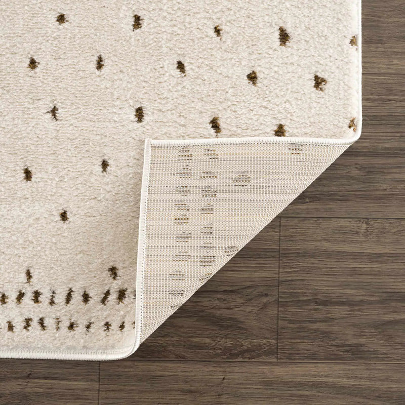 Julie Ivory & Brown Area Rug by Boutique Rugs