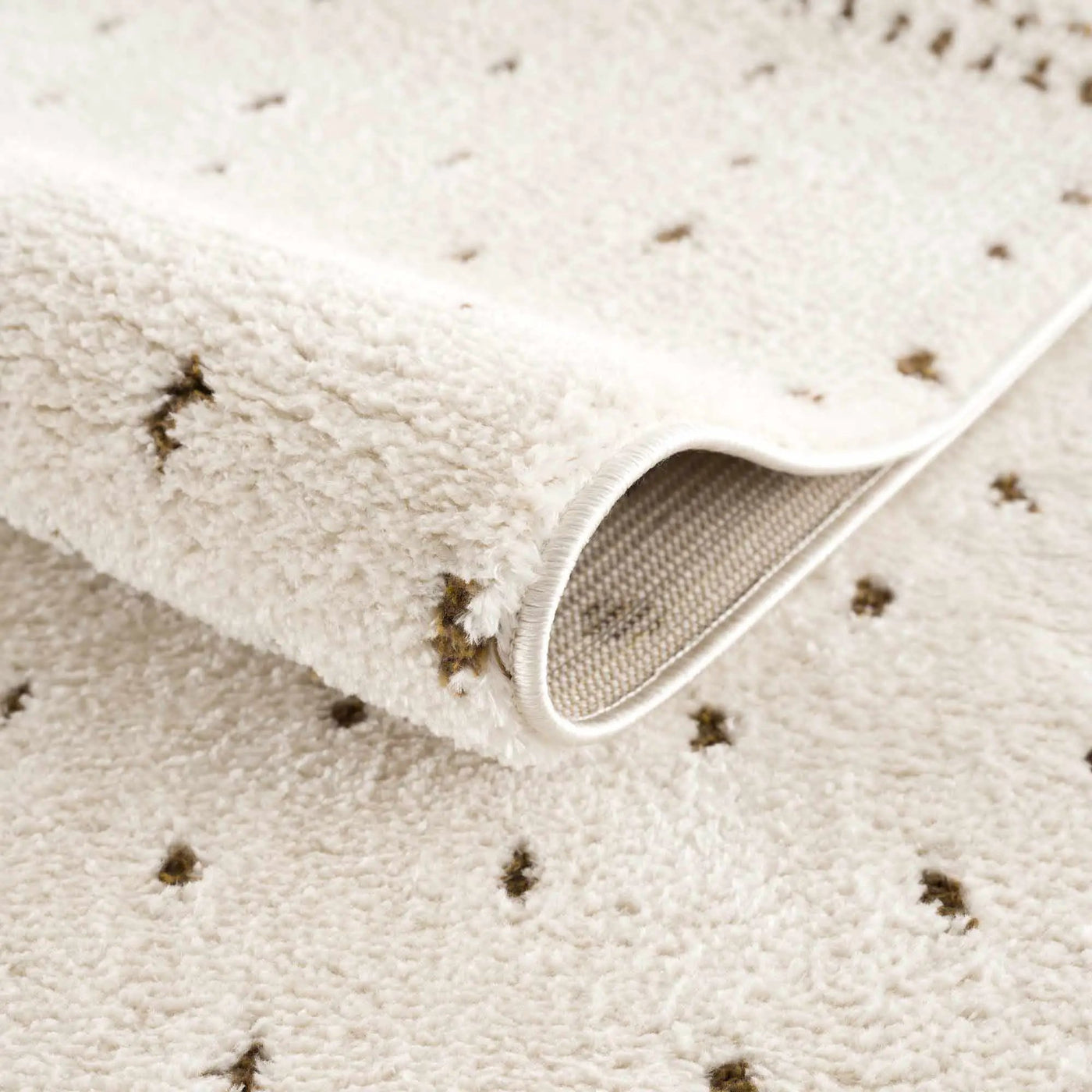 Julie Ivory & Brown Area Rug by Boutique Rugs