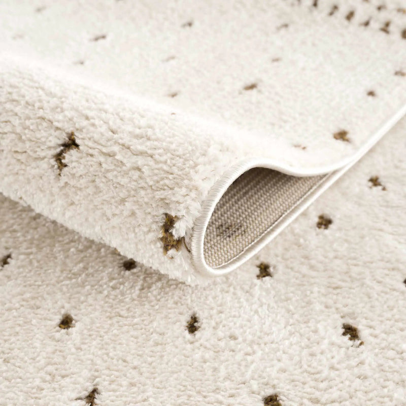 Julie Ivory & Brown Area Rug by Boutique Rugs