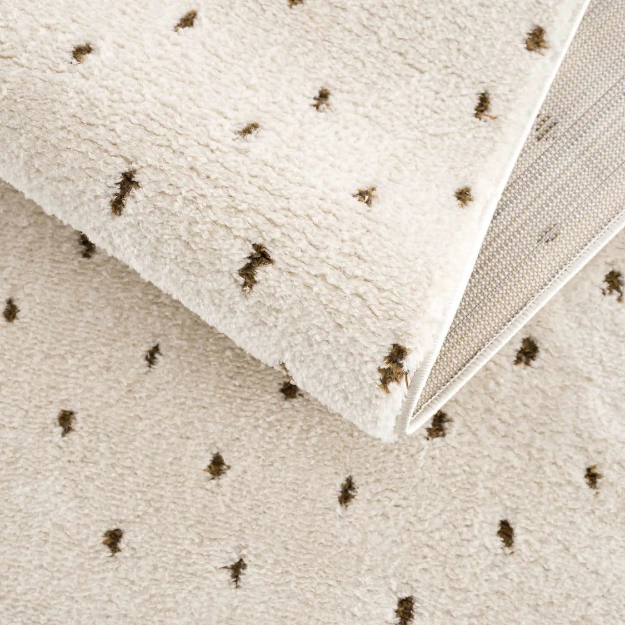 Julie Ivory & Brown Area Rug by Boutique Rugs