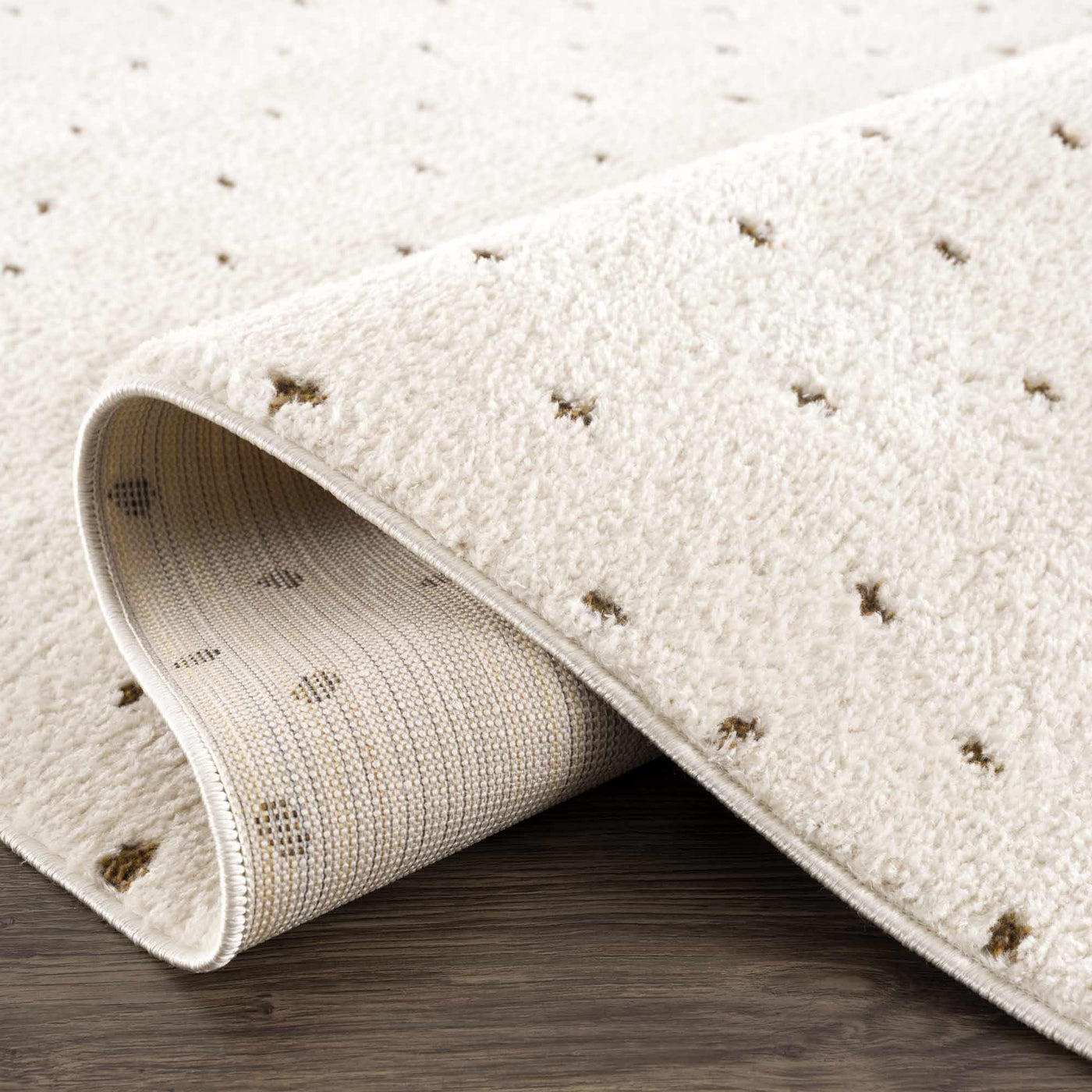 Julie Ivory & Brown Area Rug by Boutique Rugs