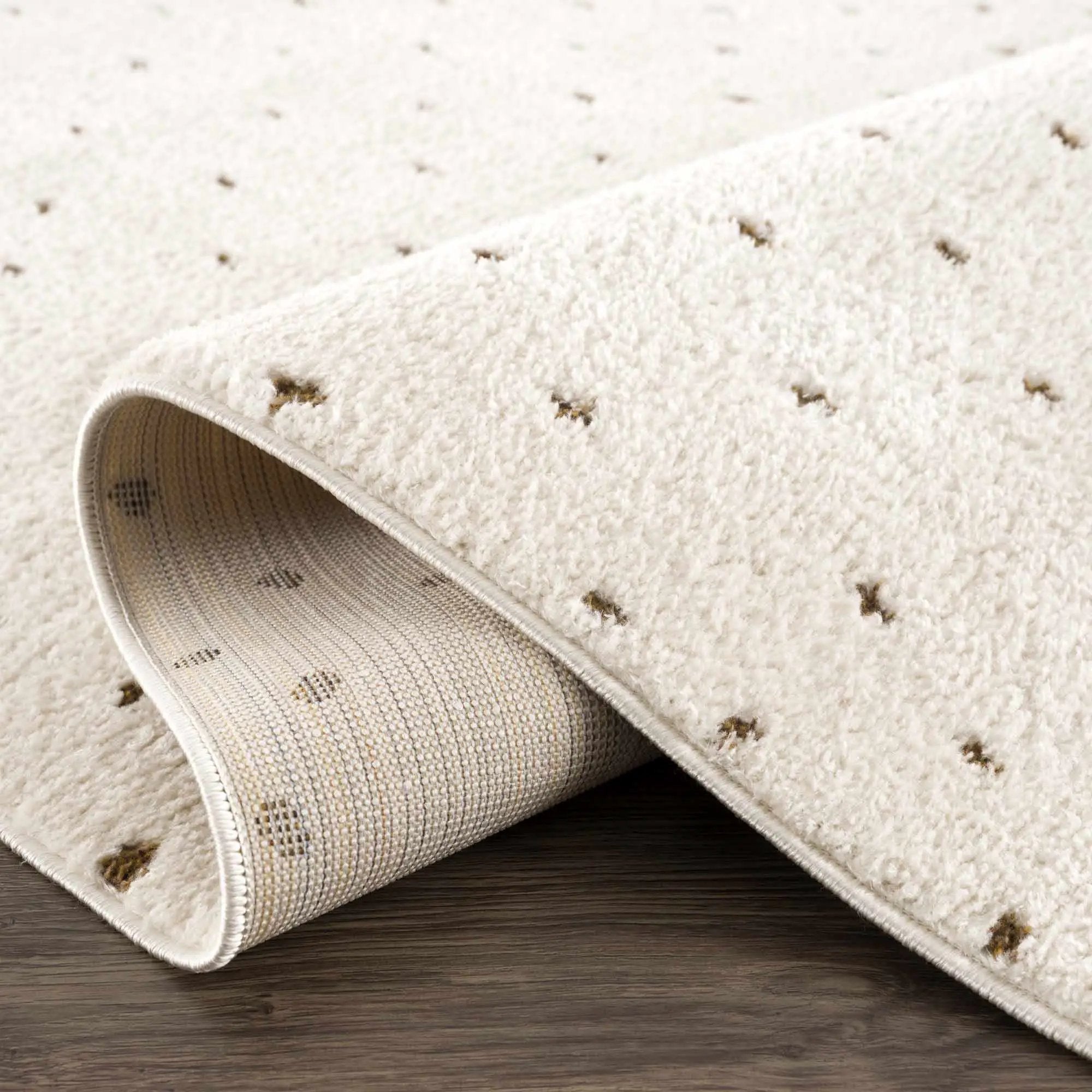 Julie Ivory & Brown Area Rug by Boutique Rugs