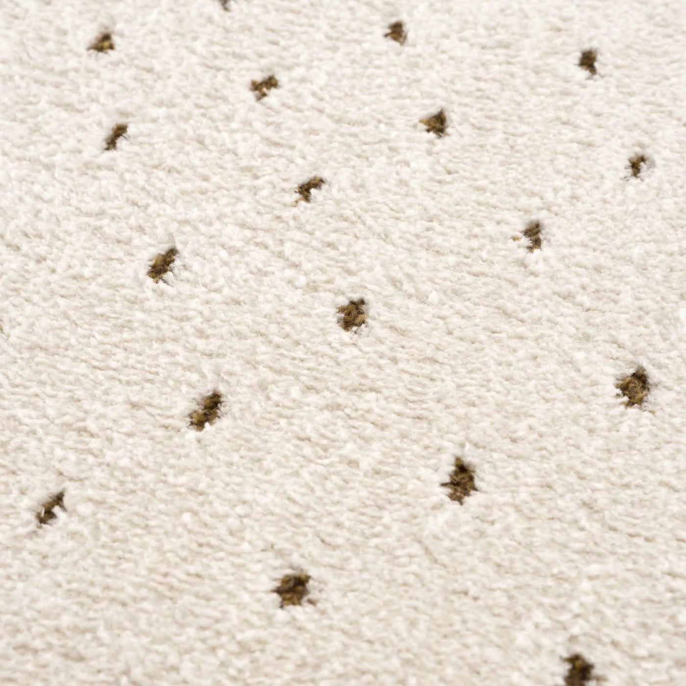 Julie Ivory & Brown Area Rug by Boutique Rugs