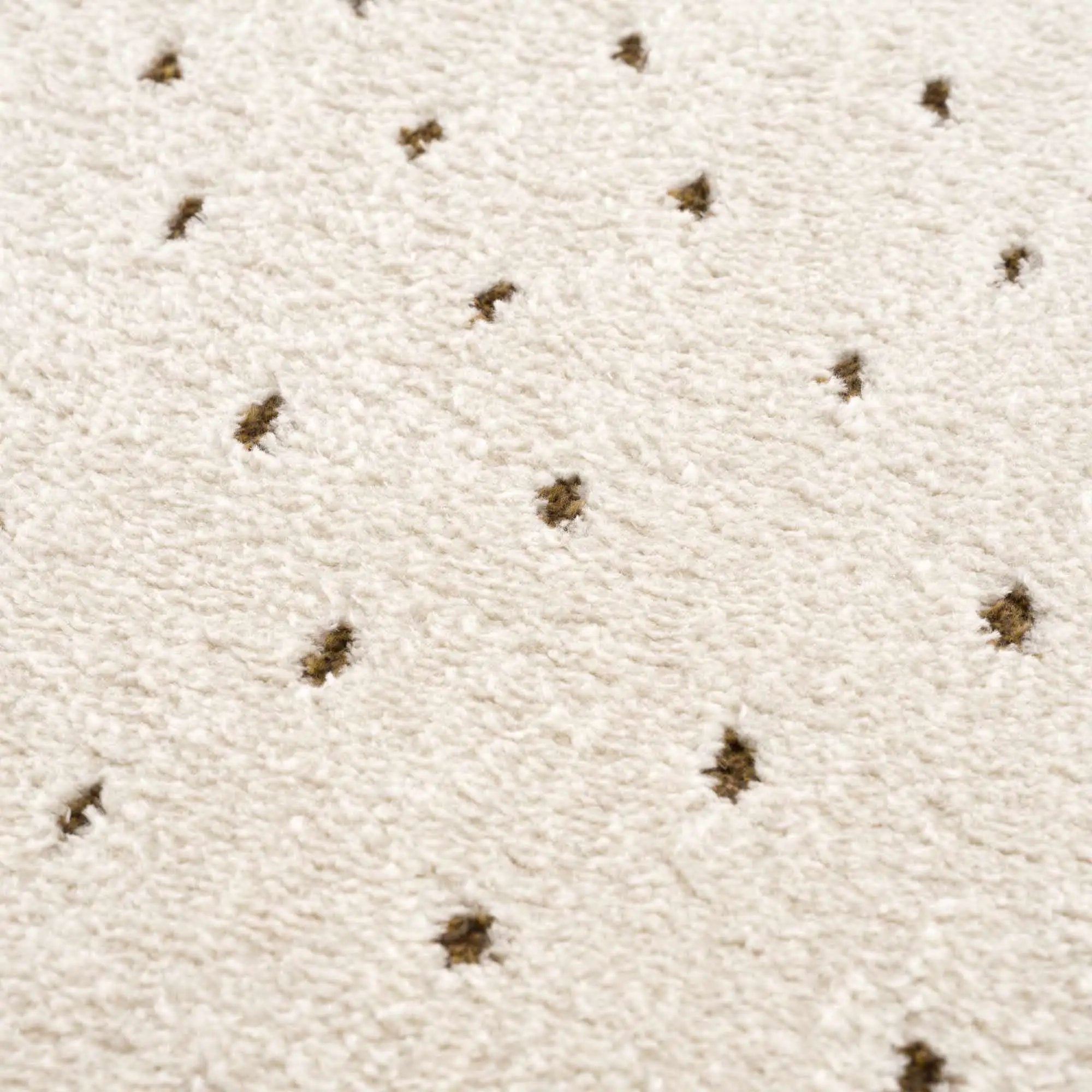 Julie Ivory & Brown Area Rug by Boutique Rugs