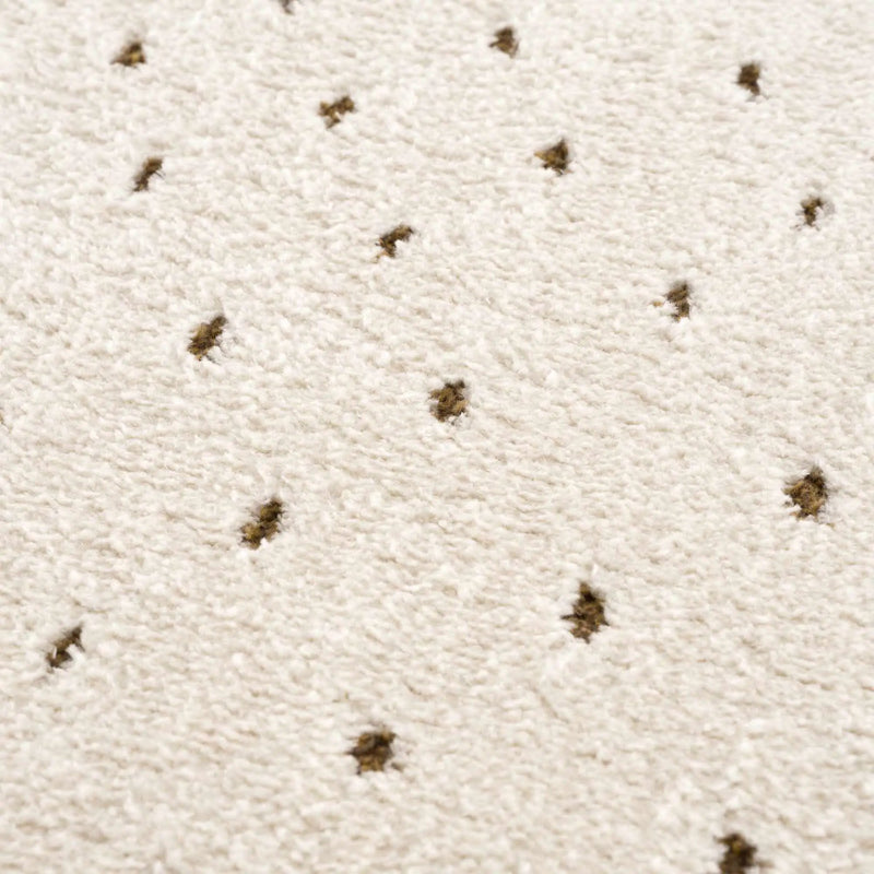 Julie Ivory & Brown Area Rug by Boutique Rugs