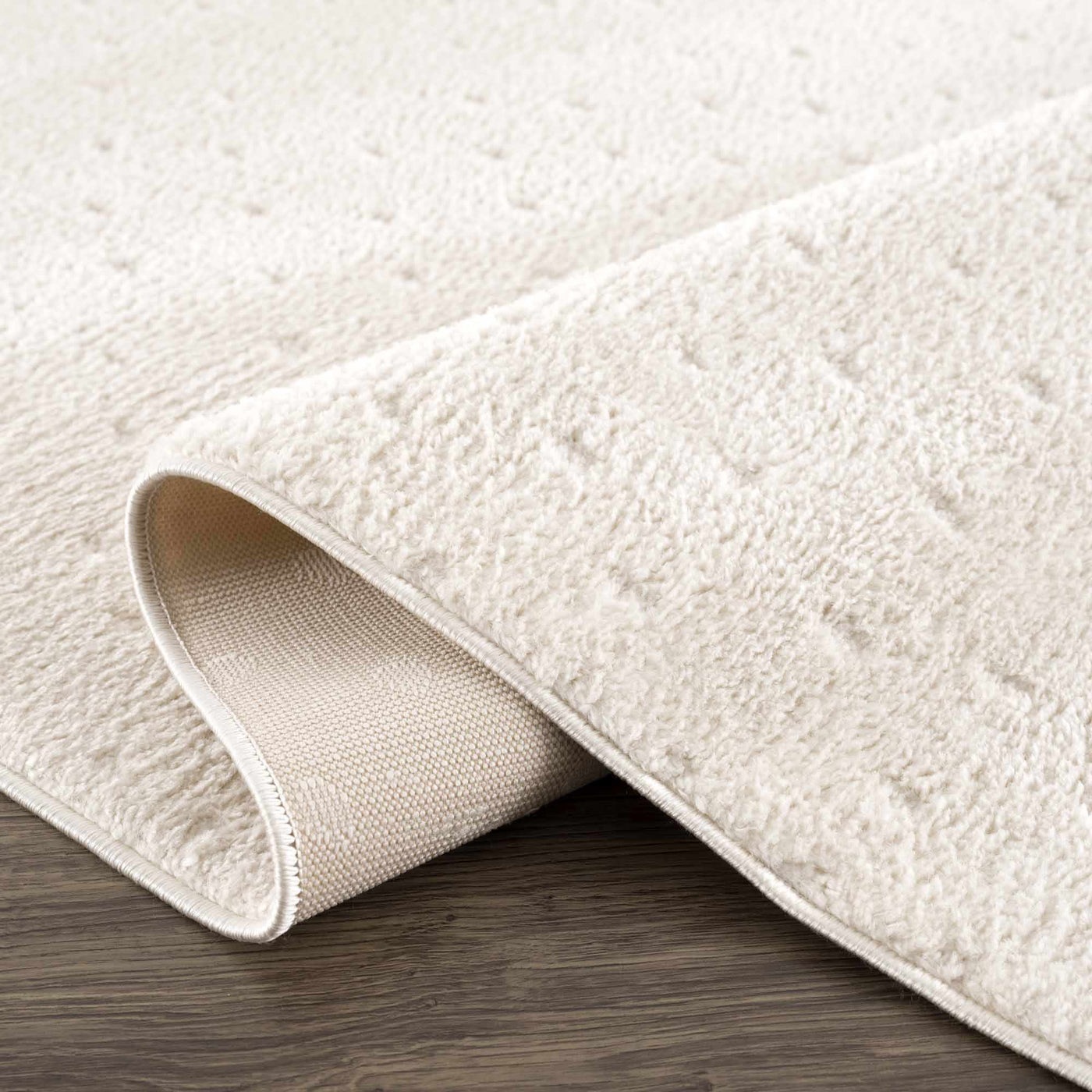 Julie Ivory Area Rug by Boutique Rugs