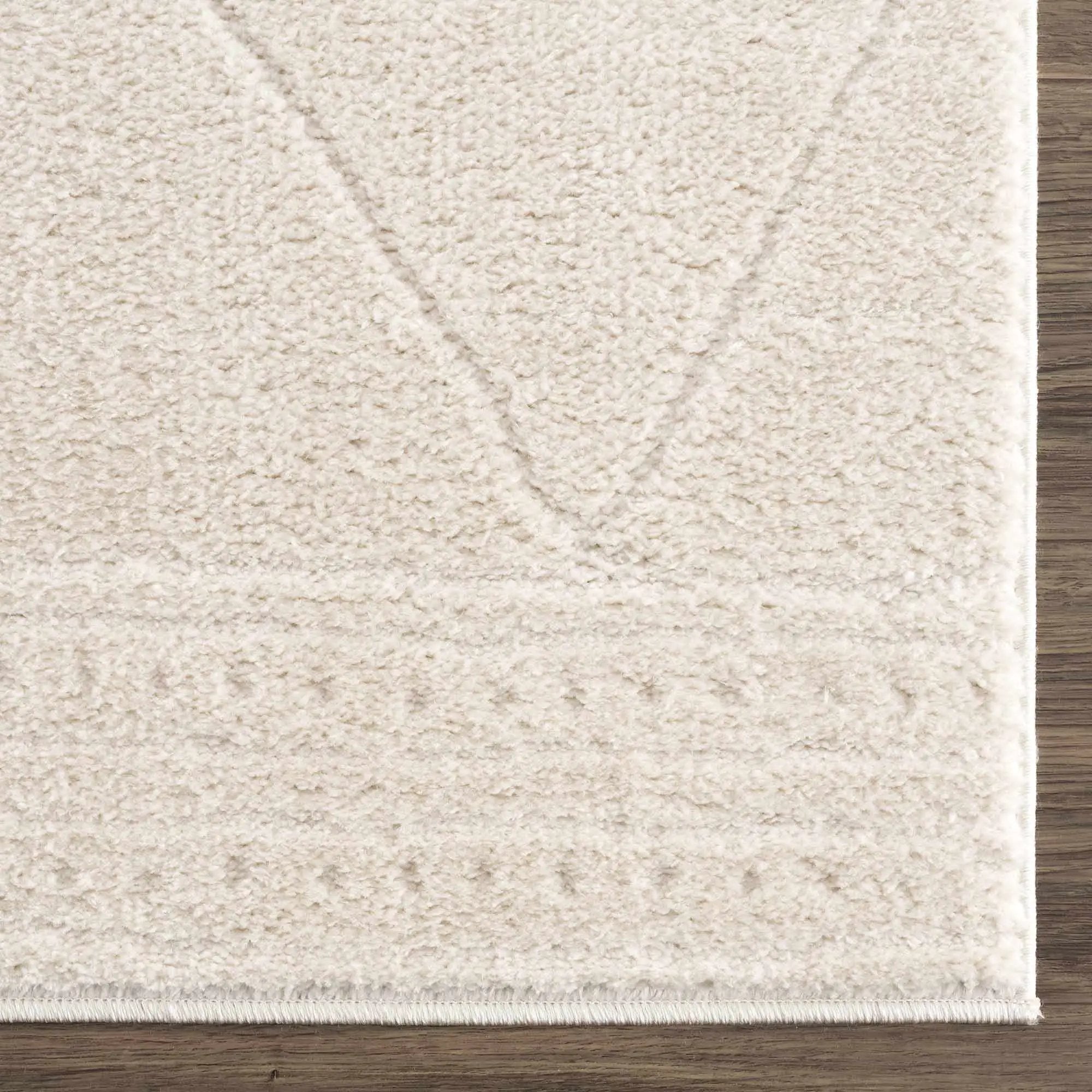 Keone Ivory Area Rug by Boutique Rugs