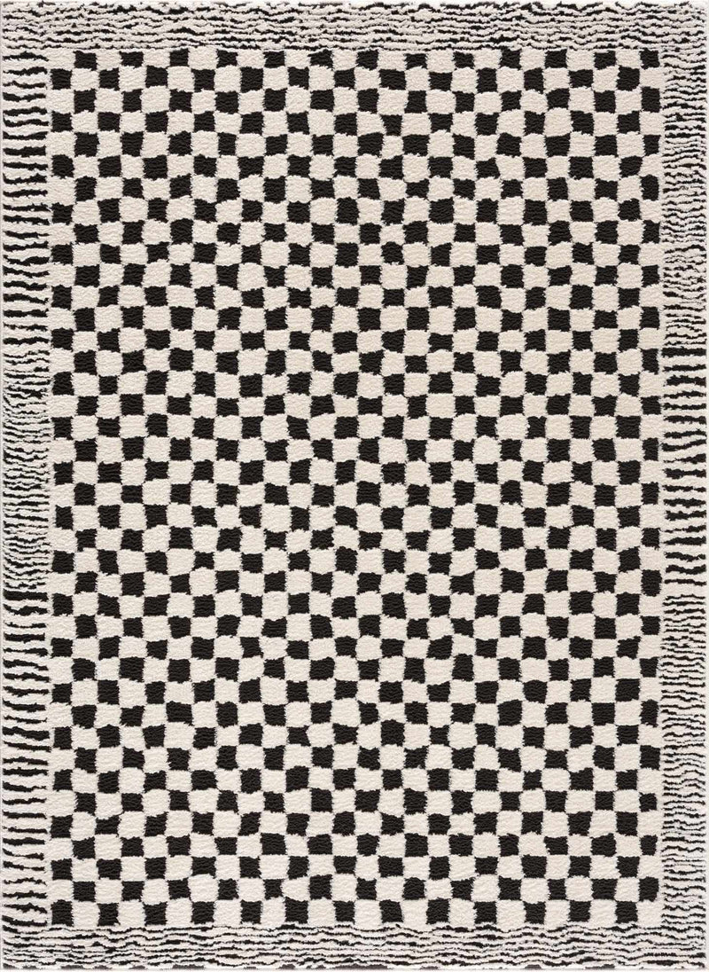 Leryn Black & White Checkered Area Rug by Hauteloom