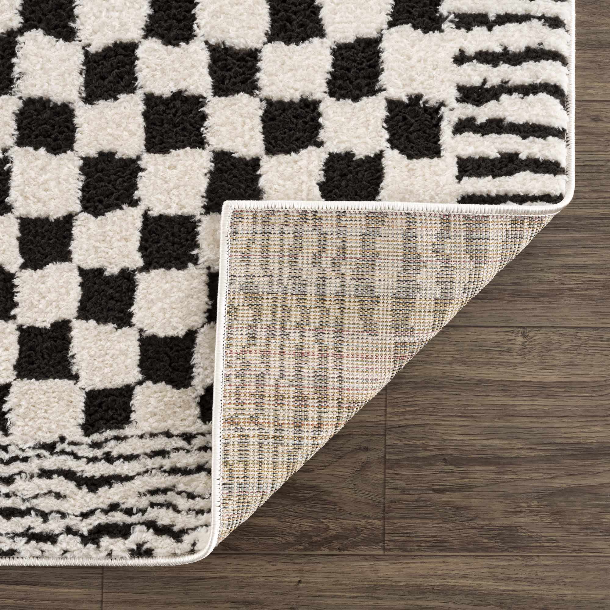 Leryn Black & White Checkered Area Rug by Hauteloom