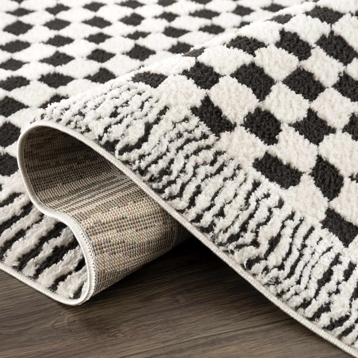 Leryn Black & White Checkered Area Rug by Hauteloom