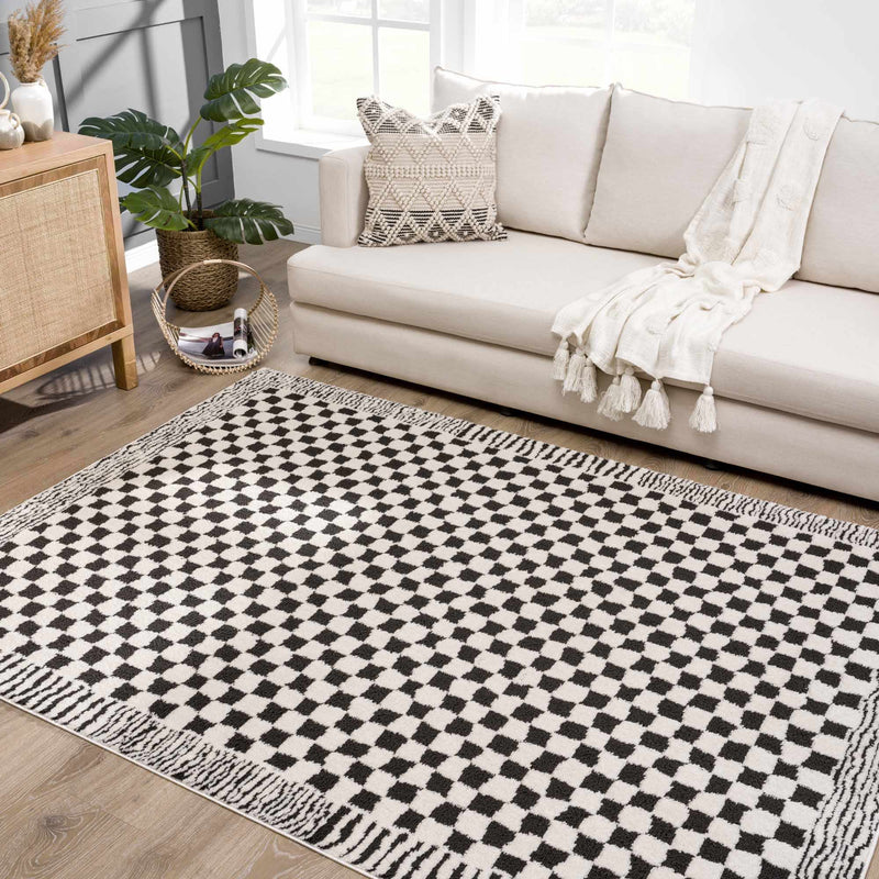 Leryn Black & White Checkered Area Rug by Boutique Rugs
