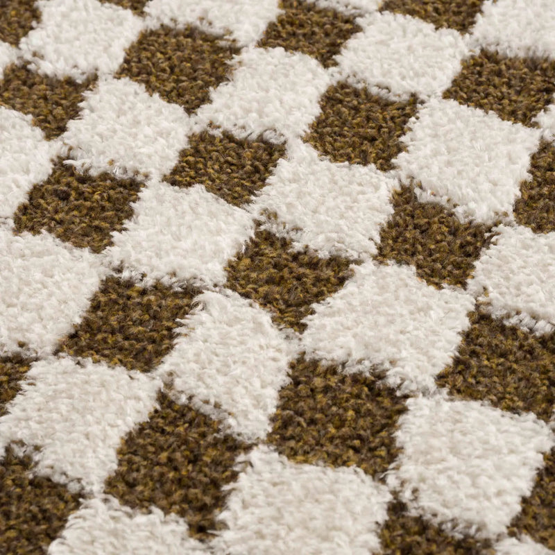 Leryn Brown & White Checkered Area Rug by Hauteloom