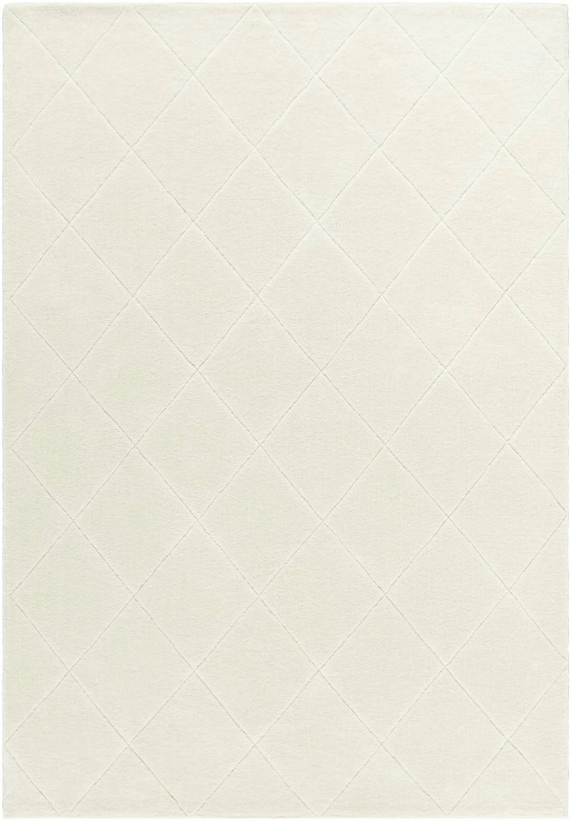 Almeda Washable Wool Area Rug by Boutique Rugs