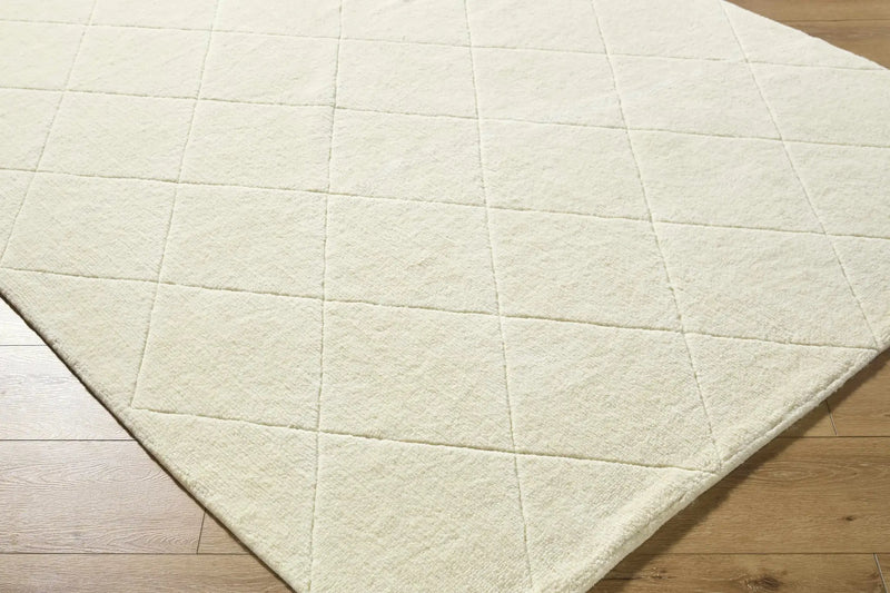 Almeda Washable Wool Area Rug by Boutique Rugs