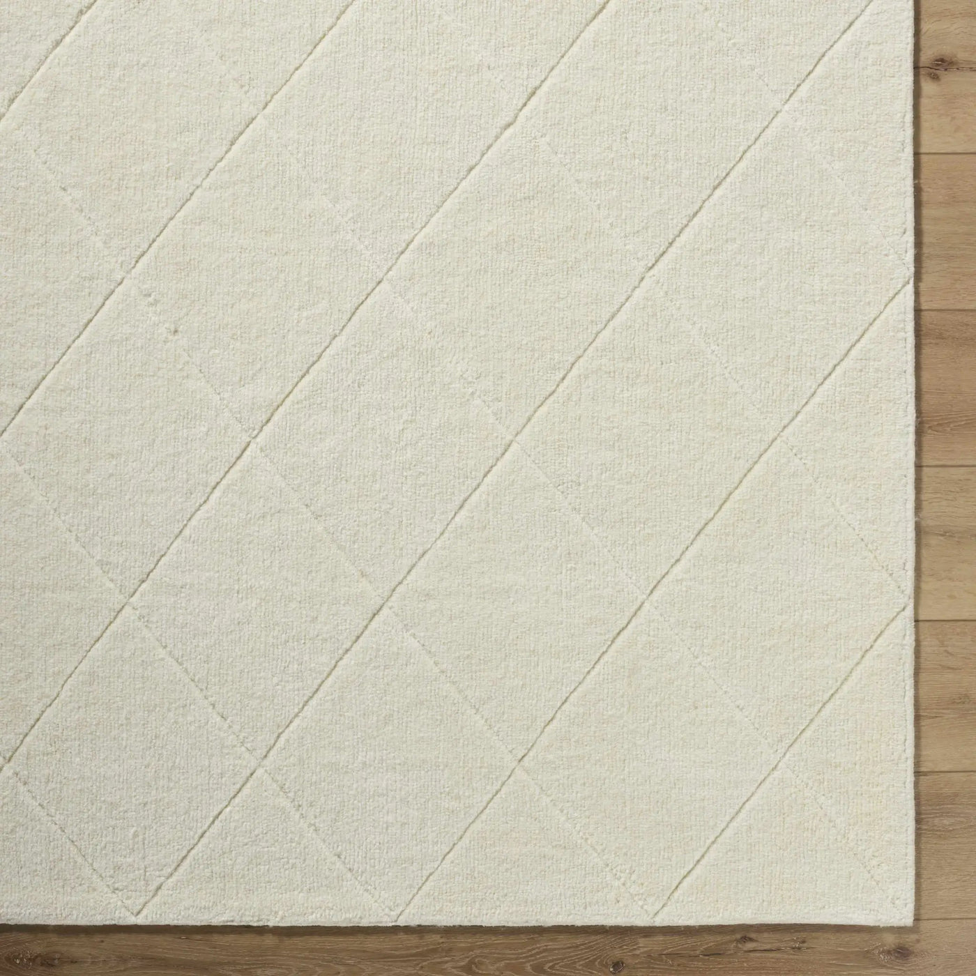 Almeda Washable Wool Area Rug by Boutique Rugs