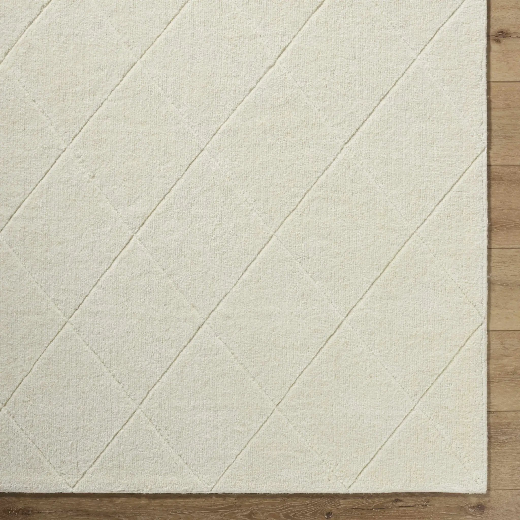 Almeda Washable Wool Area Rug by Boutique Rugs