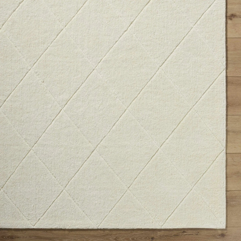 Almeda Washable Wool Area Rug by Boutique Rugs