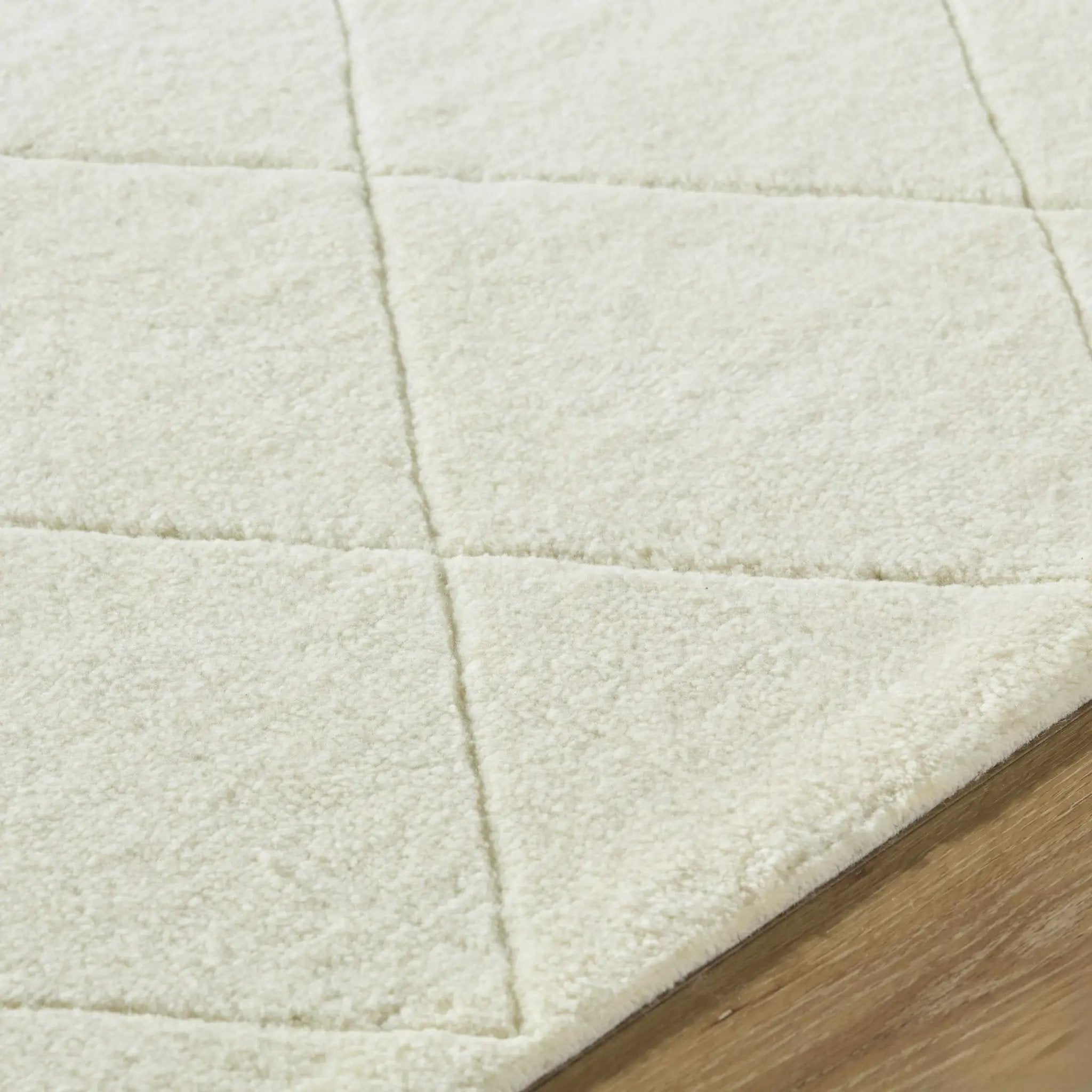 Almeda Washable Wool Area Rug by Boutique Rugs
