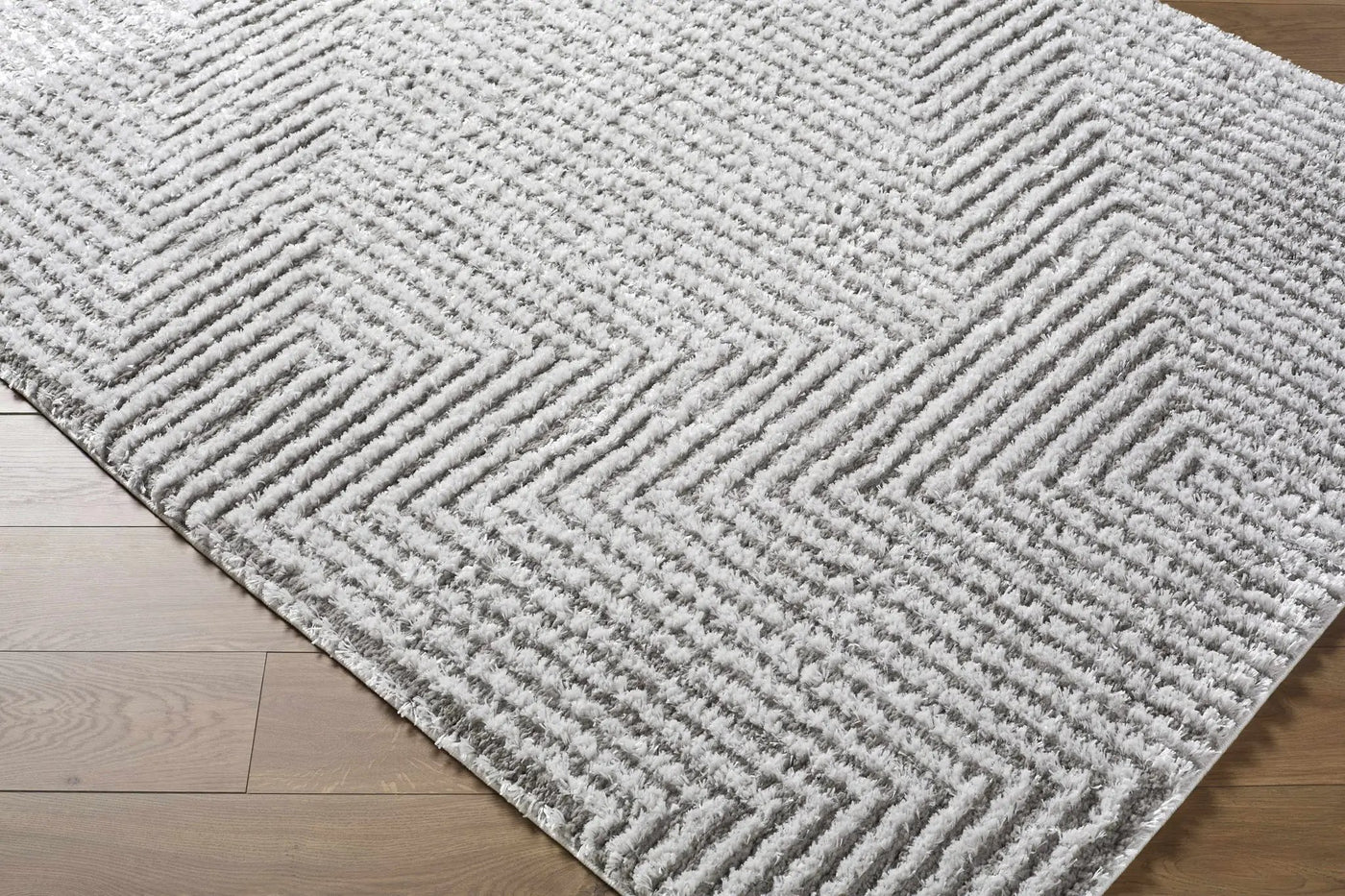 Ashlyn Light Slate Area Rug by Boutique Rugs