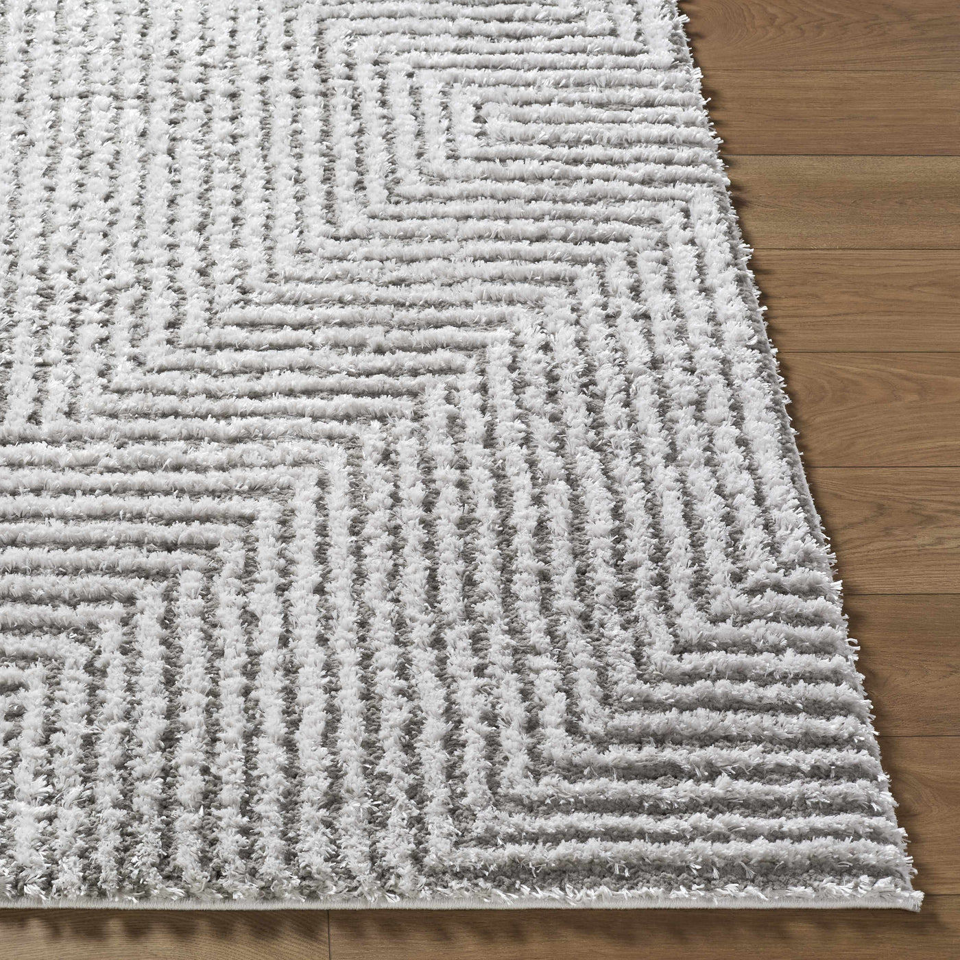 Ashlyn Light Slate Area Rug by Boutique Rugs