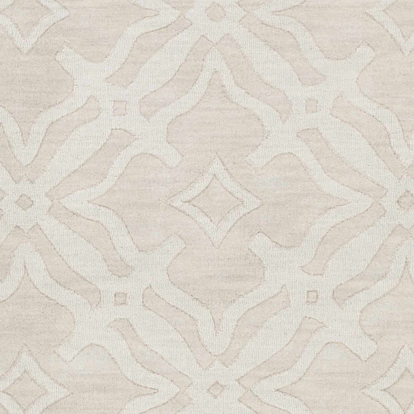 Fyffe Embossed Beige Wool Area Rug by Boutique Rugs